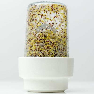 Kilner Sprouter Set image(5)