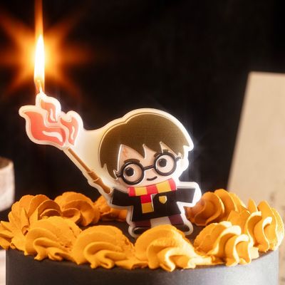PME Harry Potter Character Candle image(2)