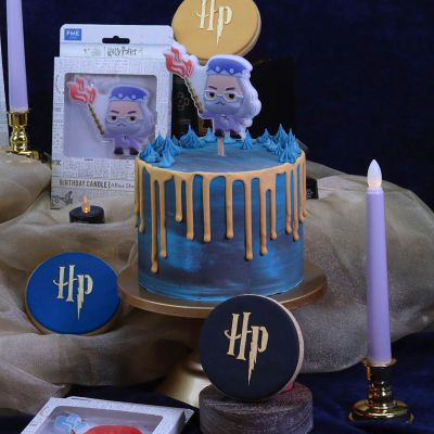 PME Albus Dumbledore™ Character Candle image(4)