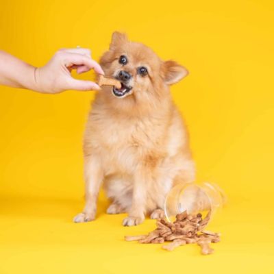 Dog and Bond Treat Mix - Tasty Cheese & Super Seaweed image(2)