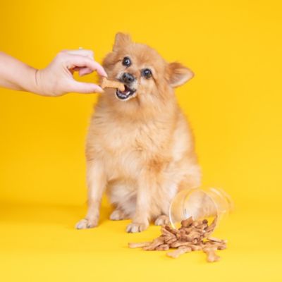 Dog and Bond Treat Mix - Cinnamon Apple and Peanut Flavour image(2)