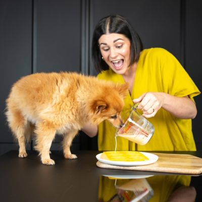 Dog and Bond Doggy Ice Cream Mix image(2)