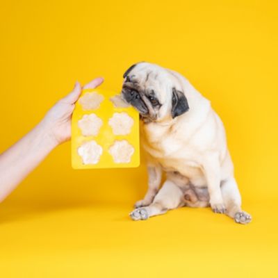 Dog and Bond Doggy Ice Cream Mix image(4)