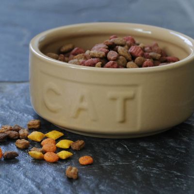 Mason Cash Cane Lettered Cat Bowl - 13cm image(2)
