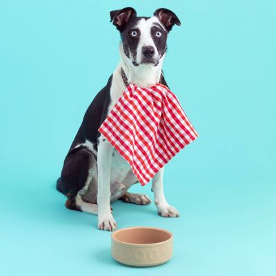 Mason Cash Cane Lettered Dog Bowl - 18cm image(3)