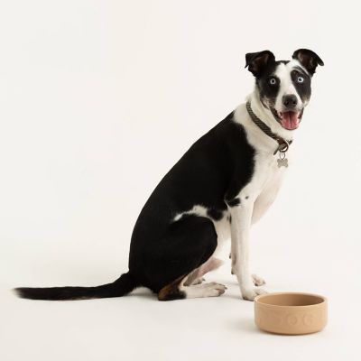 Mason Cash Cane Lettered Dog Bowl - 18cm image(4)