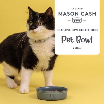 Mason Cash Reactive Small Pet Bowl - 13cm image(4)