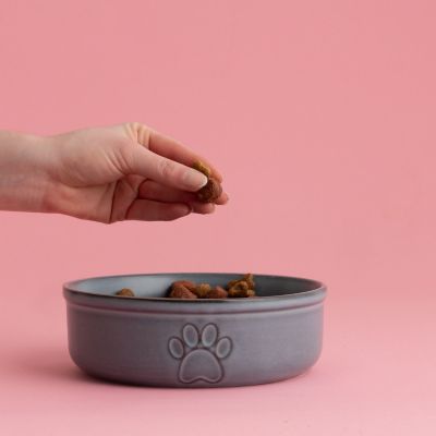 Mason Cash Reactive Large Dog Bowl - 18cm image(2)