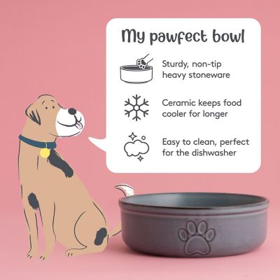 Mason Cash Reactive Large Dog Bowl - 18cm image(4)