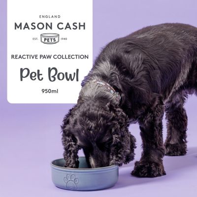Mason Cash Reactive Large Dog Bowl - 18cm image(6)