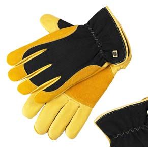 Ladies RHS Gold Leaf Winter Touch Gloves image(1)