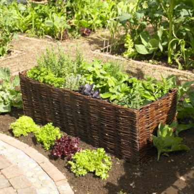 Large Willow Vegetable Planter image(1)