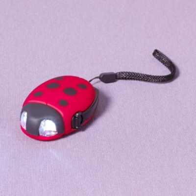 Ladybird Wind-Up Torch image()