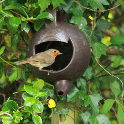 Robin Teapot Nester image()