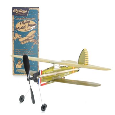 Flying Model Plane image(1)