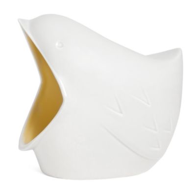 Salt Bird image()