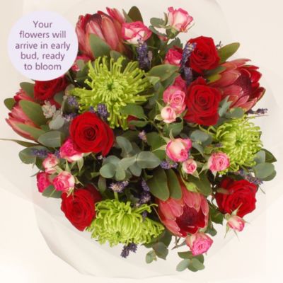 Protea Bouquet with free express delivery image(3)