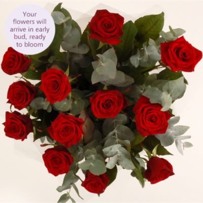 Dozen Red Roses with free express delivery image(3)