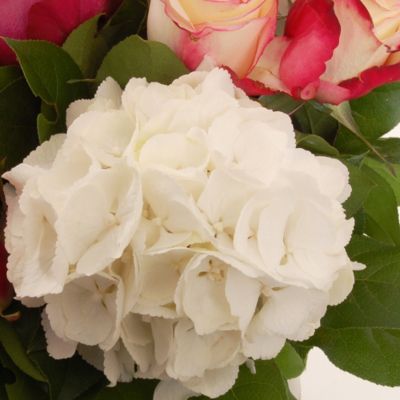 Hydrangea Bouquet with free express delivery image(2)