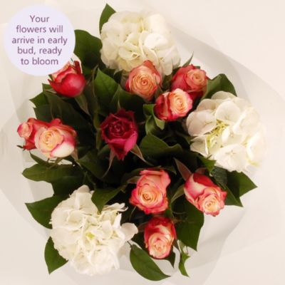 Hydrangea Bouquet with free express delivery image(3)