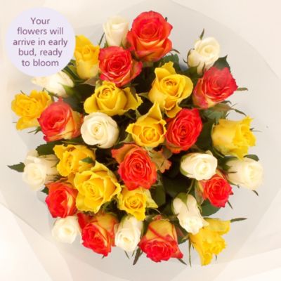 Fairtrade Mixed Roses with Free Express Delivery image(3)