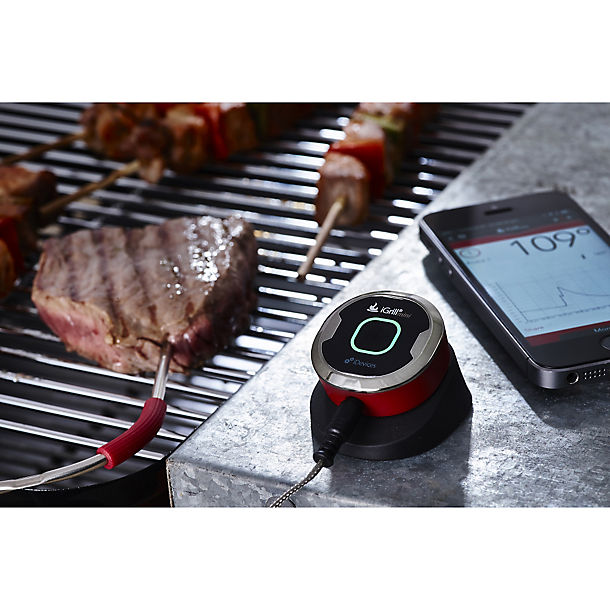 iGrill BBQ Thermometer image()