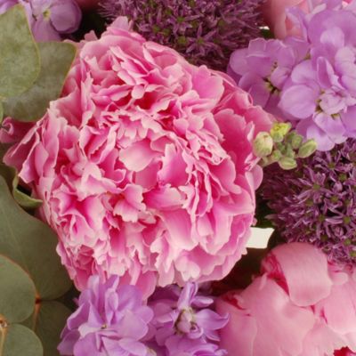 British Peonies Bouquet with free Express delivery image(2)