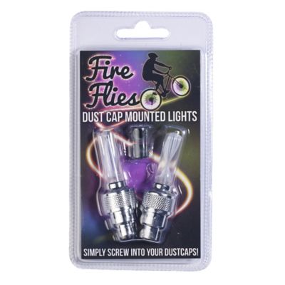 Fire Flies image()