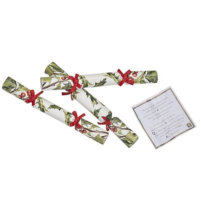 8 Botanical Christmas Mini Saucer Crackers image(3)