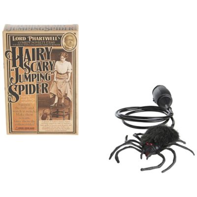 Hairy Scary Jumping Spider image(1)