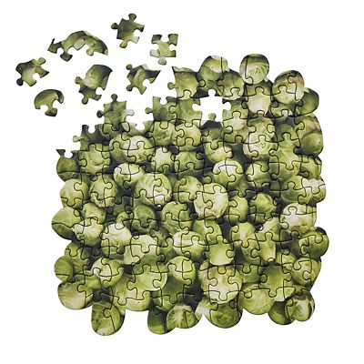 brussel sprout jigsaw