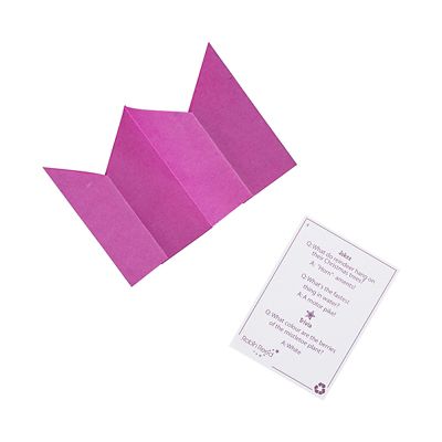 Luxury Holly Christmas Crackers - Pack of 6 image(3)