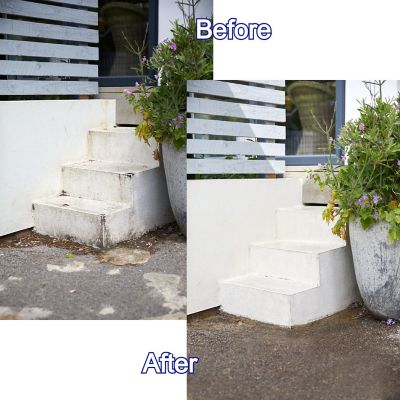 Wet & Forget Rapid Mould & Algae Remover Spray 2L image(3)