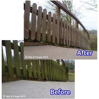 Wet & Forget Rapid Mould & Algae Remover Spray 2L image(7)