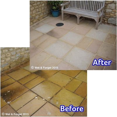 Wet & Forget Rapid Mould & Algae Remover Spray 2L image(8)