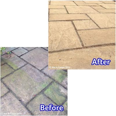 Wet & Forget Rapid Mould & Algae Remover Spray 2L image(9)