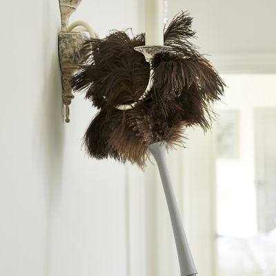 Extendable Ostrich Feather Duster image(3)