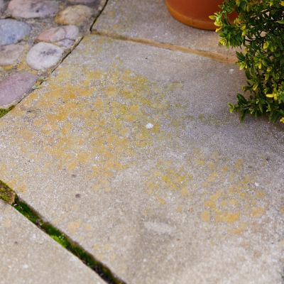 Lakeland Patio and Driveway Cleaner 1 Litre image(2)