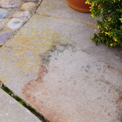 Lakeland Patio and Driveway Cleaner 1 Litre image(4)