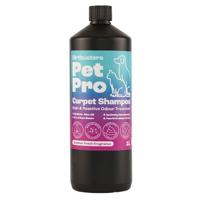 Dirtbusters 3in1 Pet Carpet Cleaner Lakeland