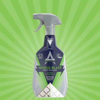 Astonish Specialist Mould Blast Spray 750ml  image(2)