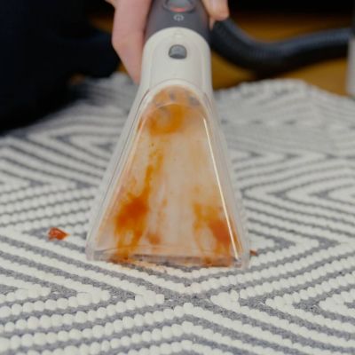 Lakeland Carpet Spot Cleaner image(10)