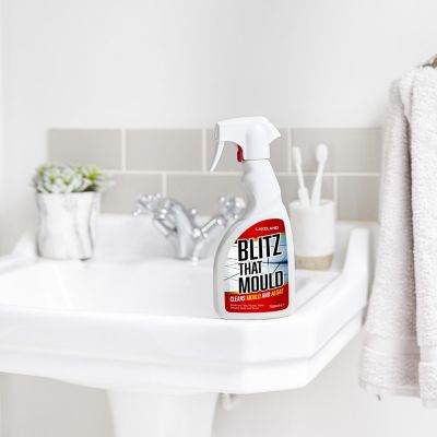 Blitz That Mould Remover Spray 750ml image(2)