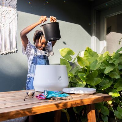 Lomi Classic Kitchen Composter image(11)