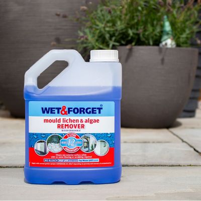 Wet & Forget Mould, Lichen & Algae Remover 4L image(2)