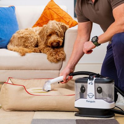 Gtech Penguin Spot Cleaner  image(3)