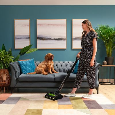 AirRAM 2 K9 Cordless Pet Vacuum image(4)