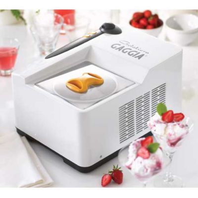 Gaggia ice cream maker new arrivals