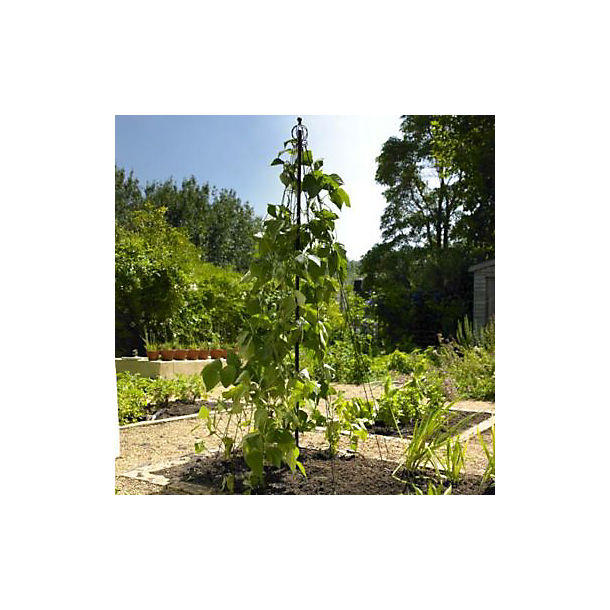 Garden Maypole Plant Support image()