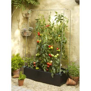 Mini Grow Bed & Crop Support Frame image()